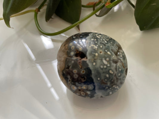 Ocean Jasper Palmstone
