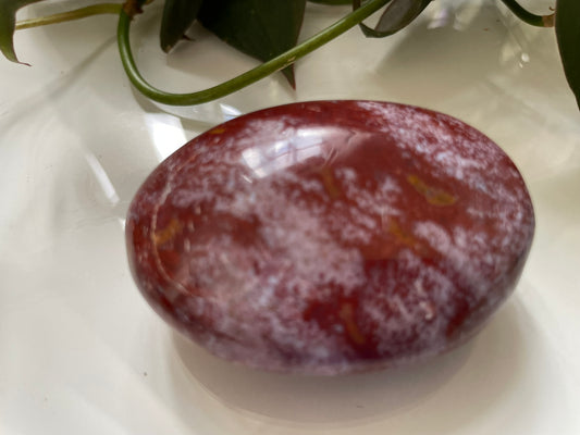 Ocean Jasper Palmstone