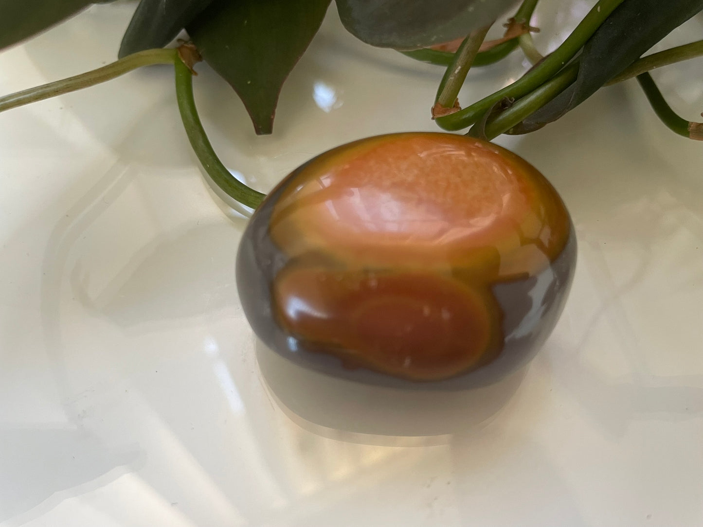 Polychrome Jasper Palmstone
