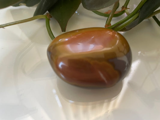 Polychrome Jasper Palmstone