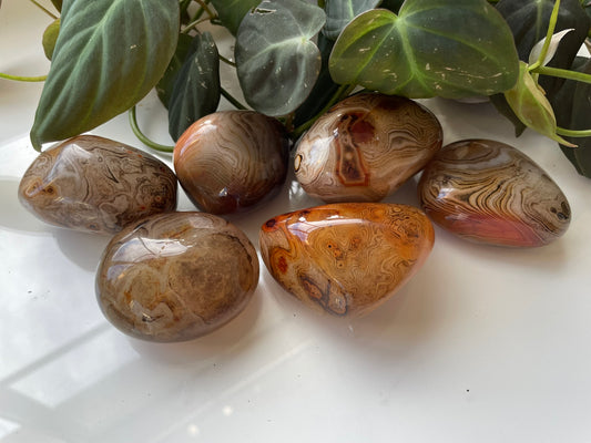 Sardonyx Palmstone