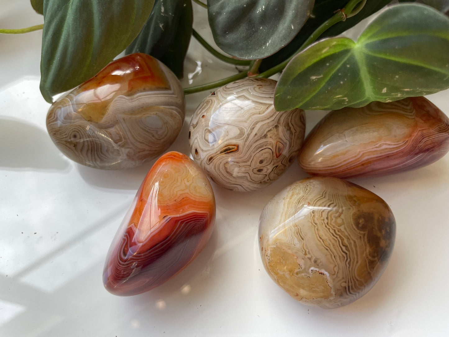 Sardonyx Palmstone