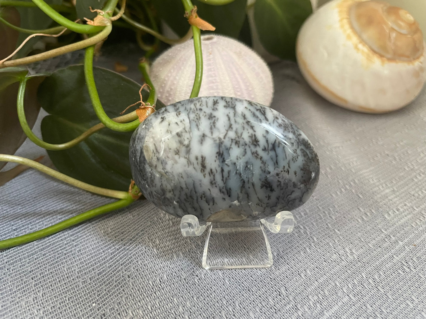 Dendritic Agate Palmstone