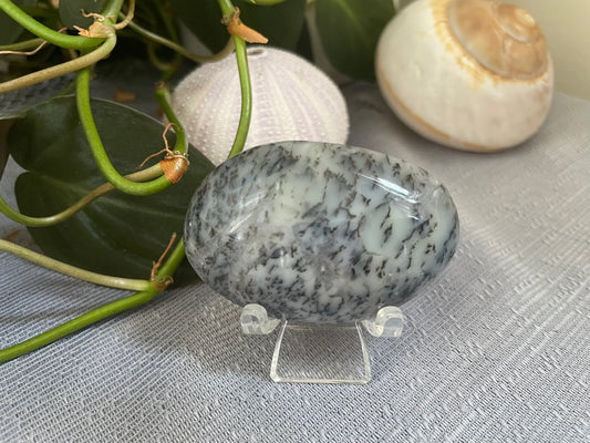 Dendritic Agate Palmstone