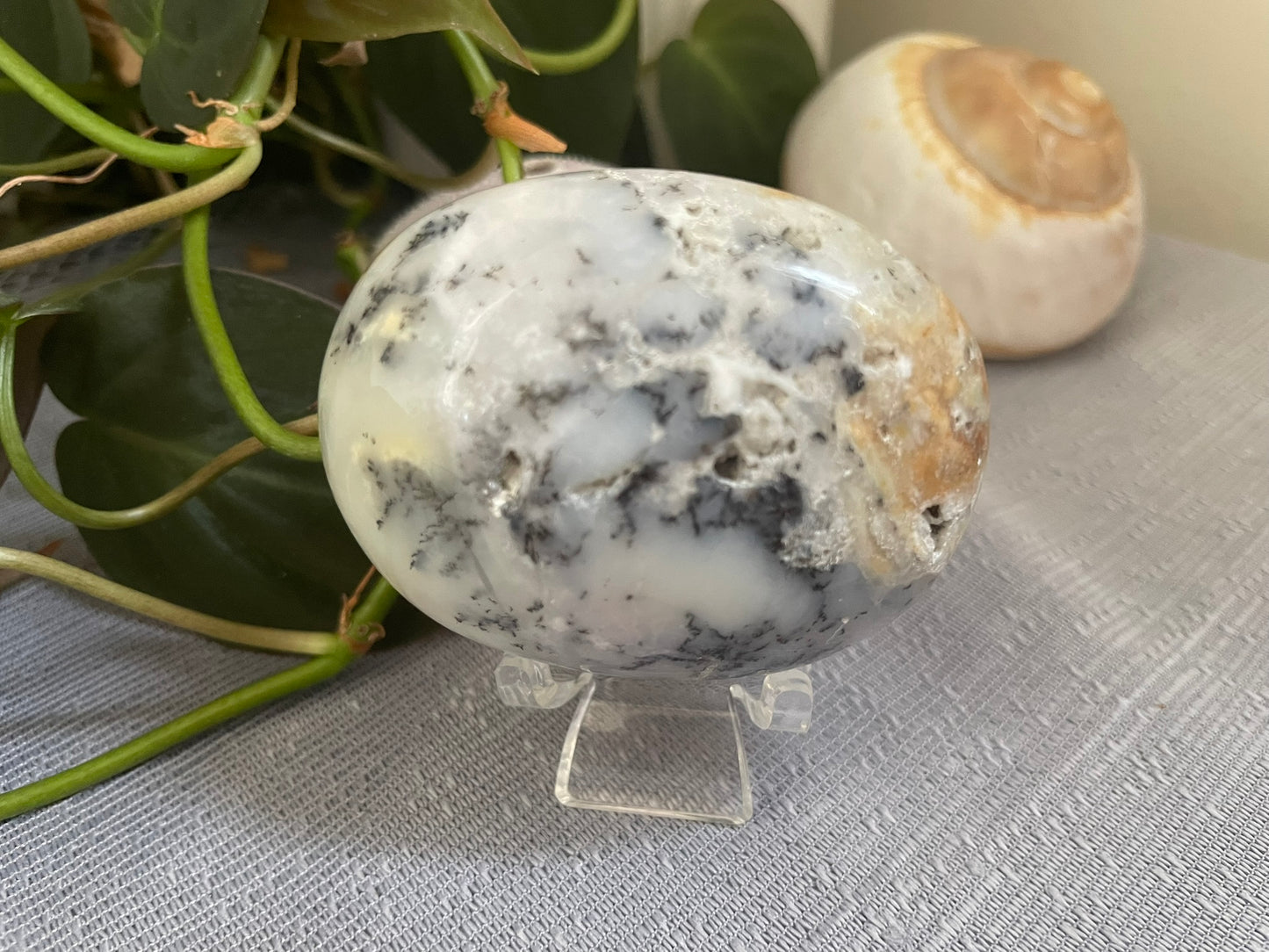 Dendritic Agate Palmstone