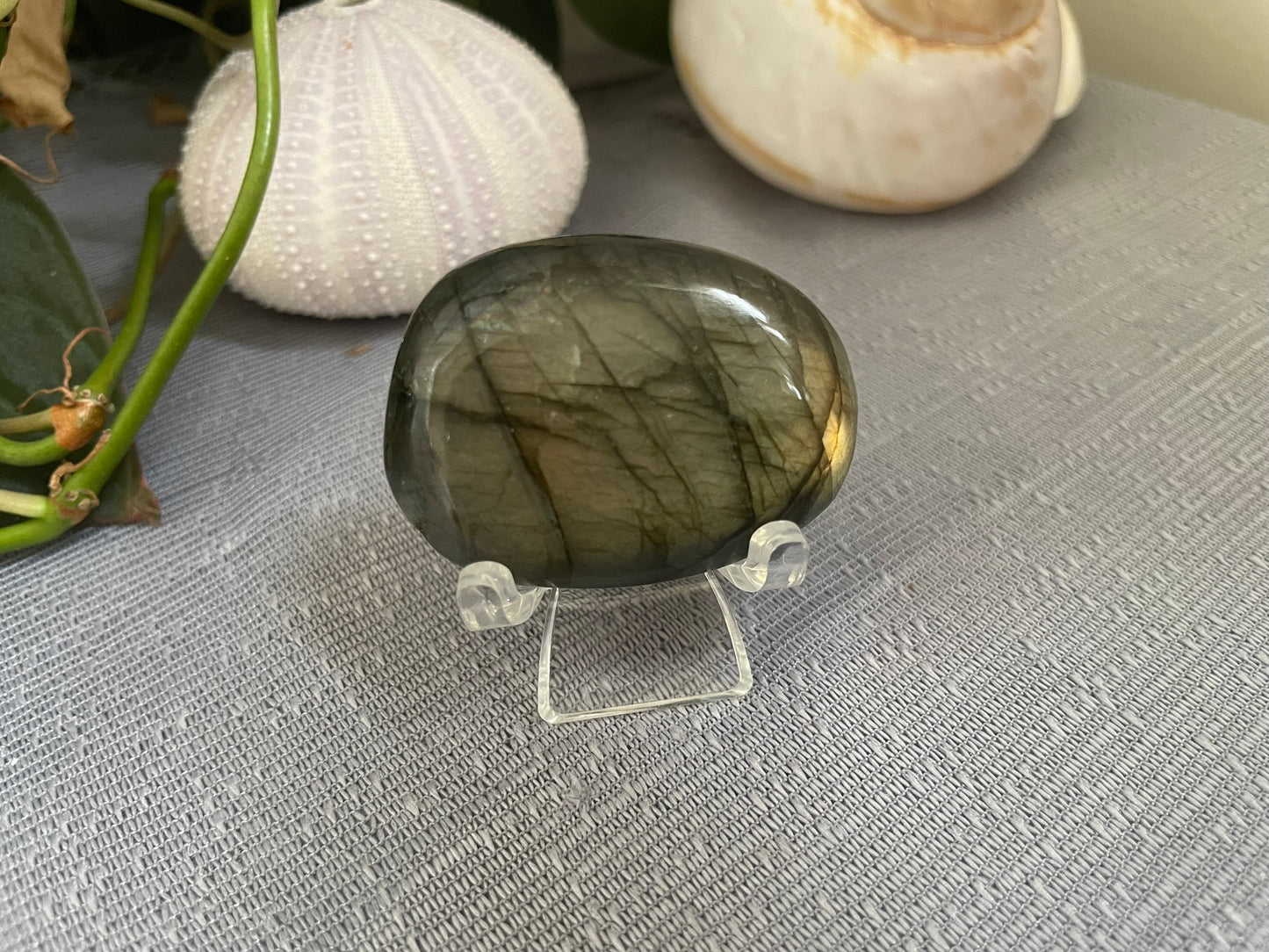 Labradorite Palmstone