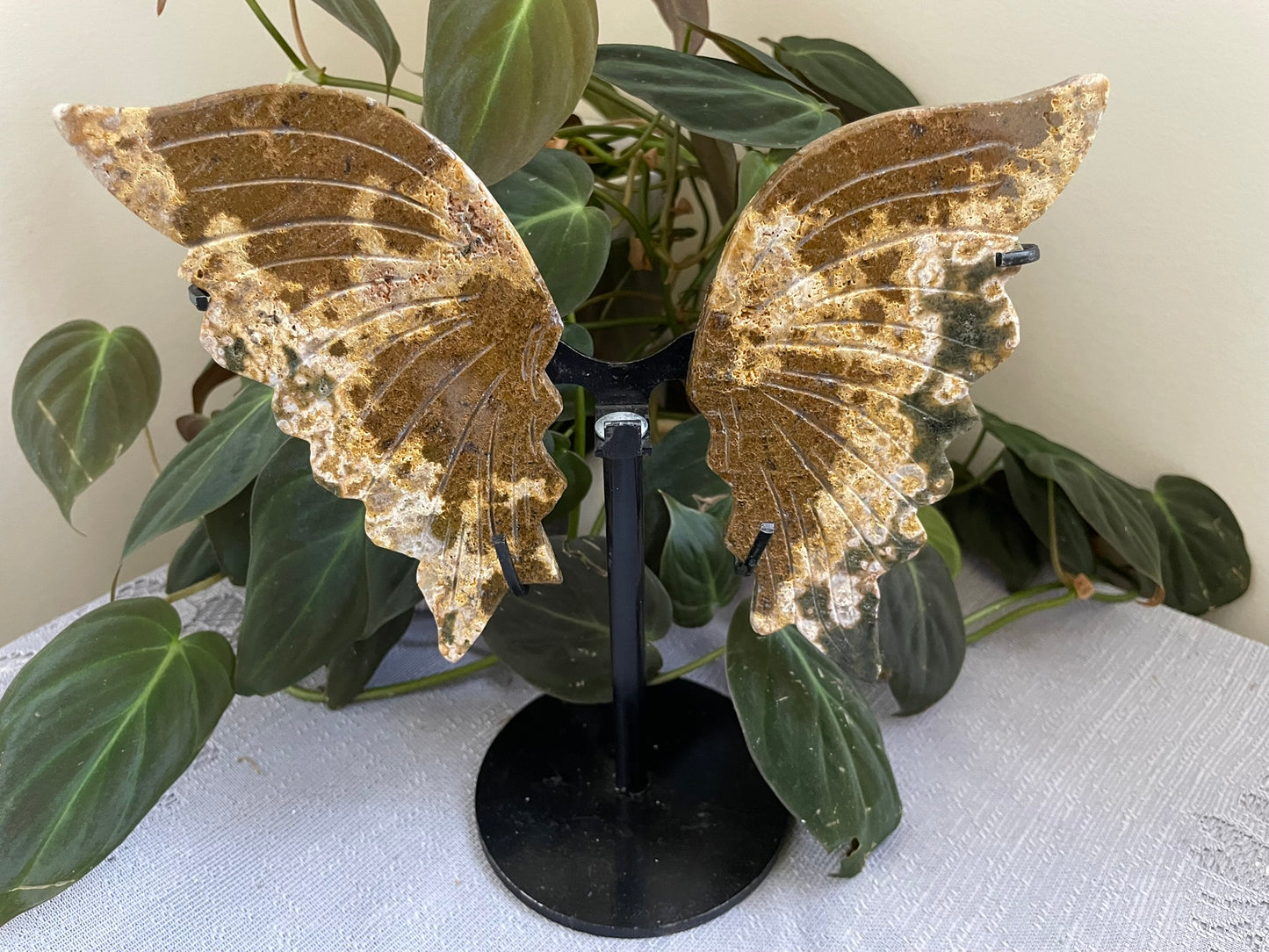 Ocean Jasper Butterfly Wings