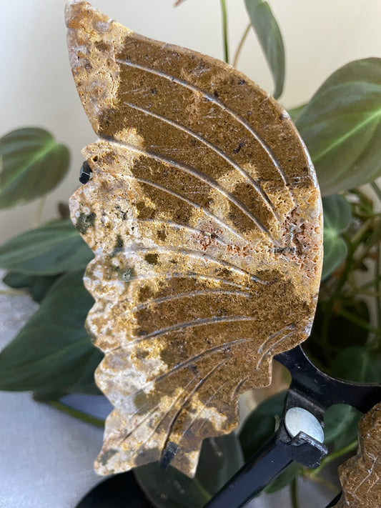 Ocean Jasper Butterfly Wings
