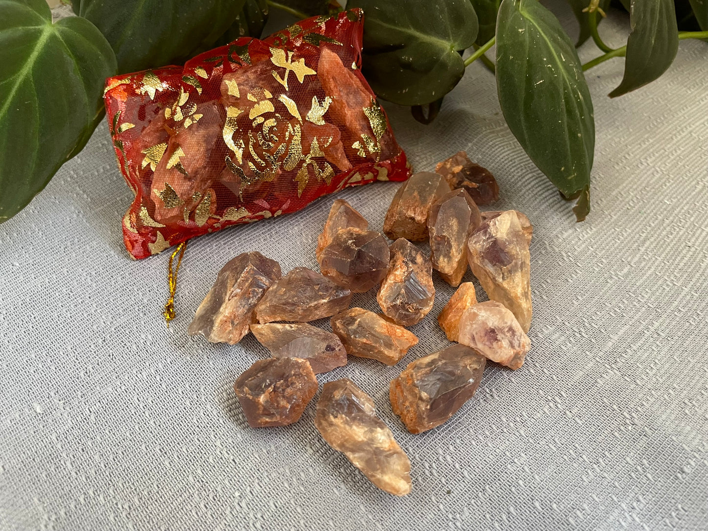 Brazilian Amethyst Dragons Tooth Grid Point Set