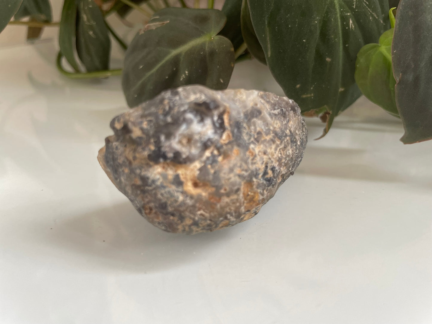Agate Geode