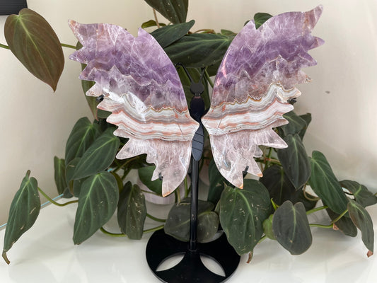 Amethyst Agate Butterfly Wings