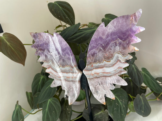 Amethyst Agate Butterfly Wings
