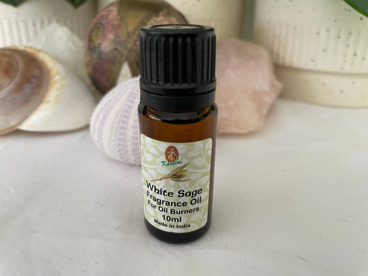 White Sage Fragrance Oil - 10ml